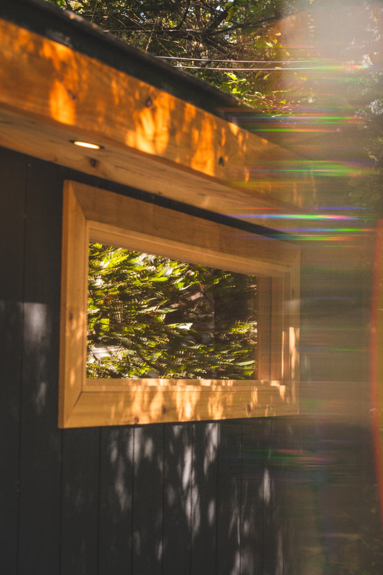 Cedar-framed window reflecting green foliage with sunlight flaring across blackened cladding