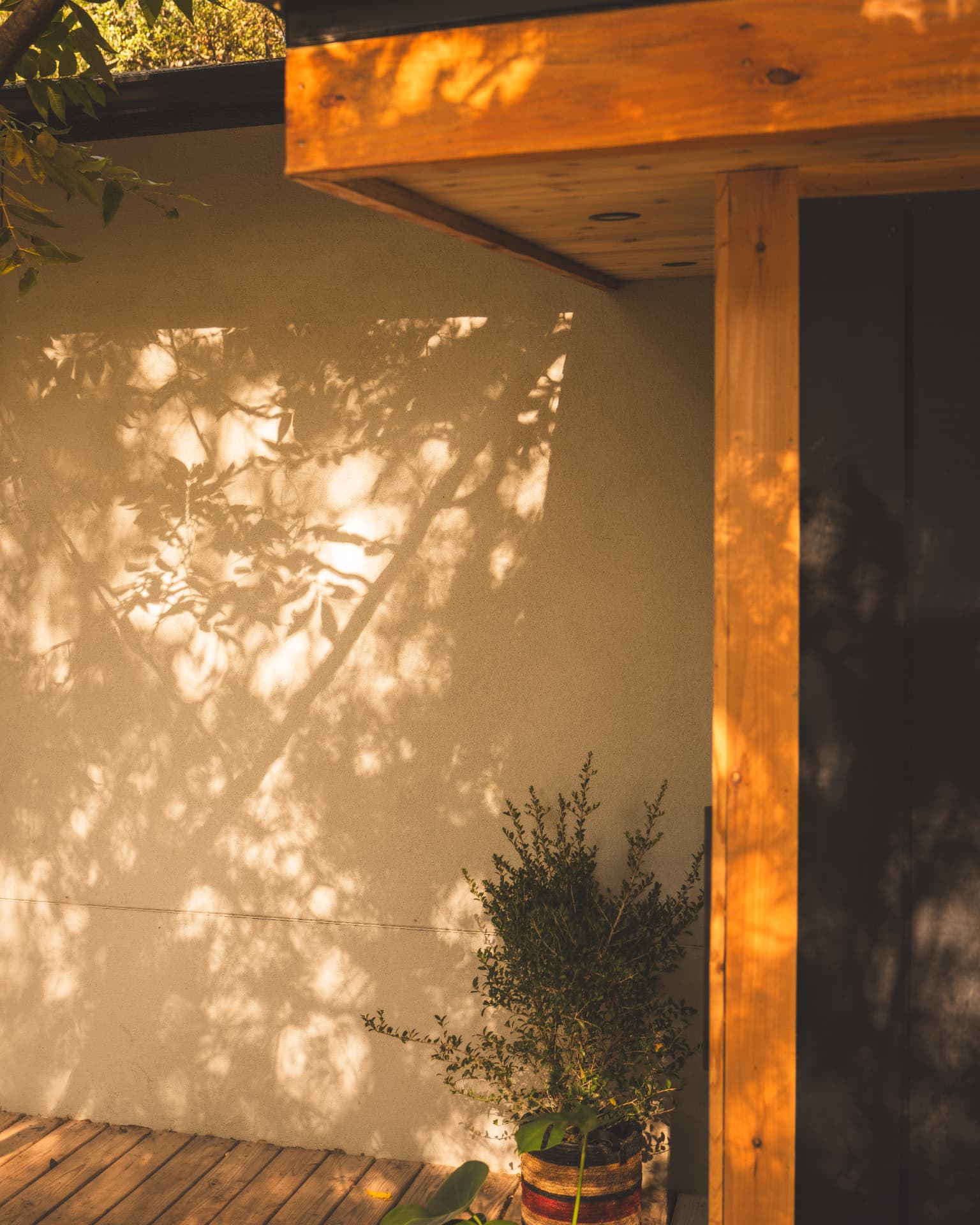 Dappled leaf shadow moving across a warm plaster wall beside the cedar sauna structure